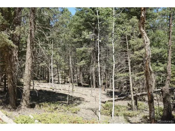 616 Indian Creek Rd, Florissant, CO 80816