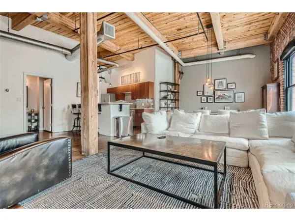 1745 Wazee St #4C, Denver, CO 80202