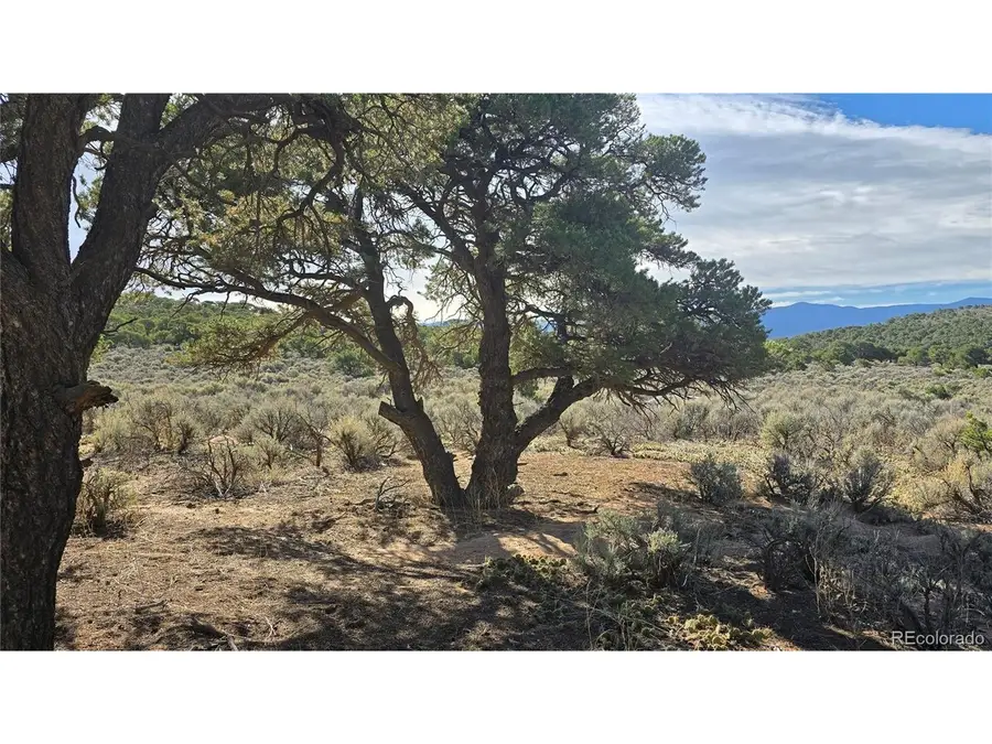3873 Shinn Rd, Fort Garland, CO 81133 - #3