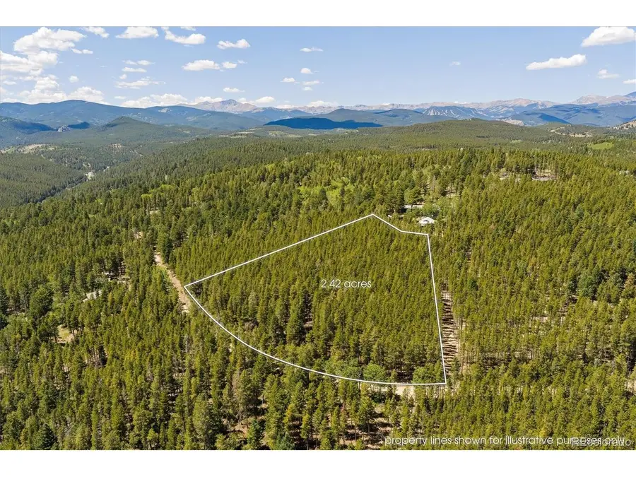 0 Spruce Way, Nederland, CO 80466 - #3
