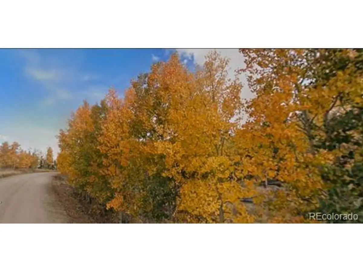 75 Antler Ridge Rd, Como, CO 80456 - #1