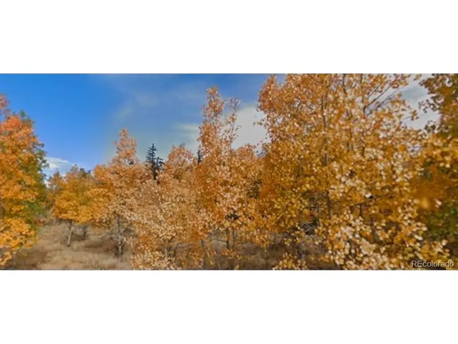 75 Antler Ridge Rd, Como, CO 80456 - #2
