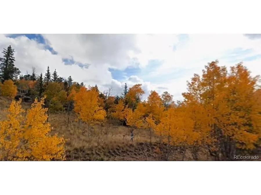 75 Antler Ridge Rd, Como, CO 80456 - #3