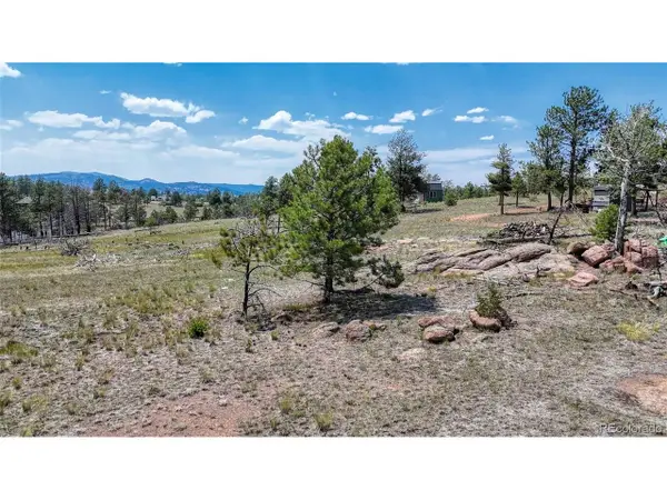 617 Chateau Vis, Florissant, CO 80816
