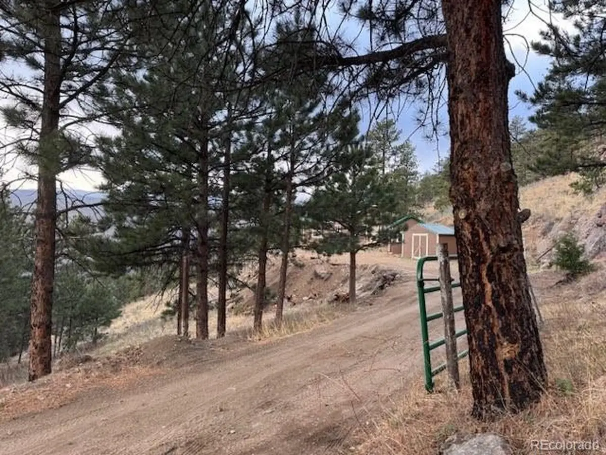 1049 Spencer Mountain Rd, Bellvue, CO 80512 - #1