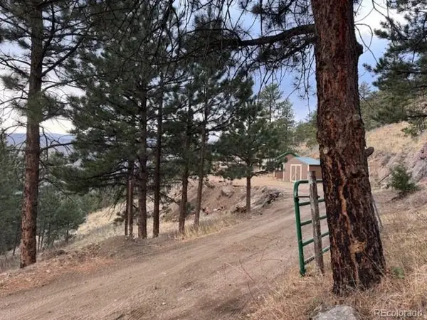 1049 Spencer Mountain Rd, Bellvue, CO 80512
