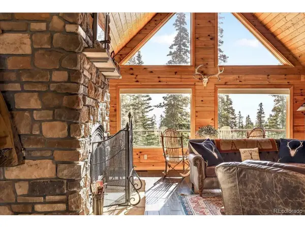 103 Prunes Pl, Fairplay, CO 80440