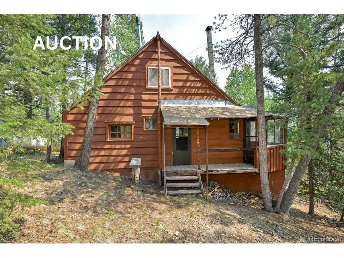 114 Mt Powderhorn Ln, Florissant, CO 80816 - #1