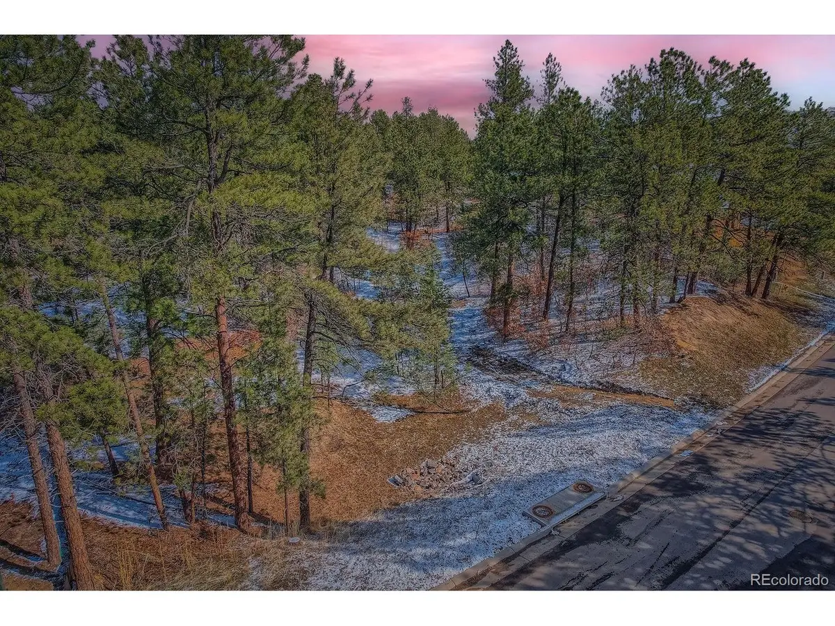 665 Copper Fox Pl, Larkspur, CO 80118 - #1