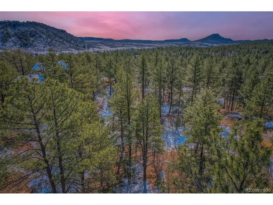 665 Copper Fox Pl, Larkspur, CO 80118 - #2