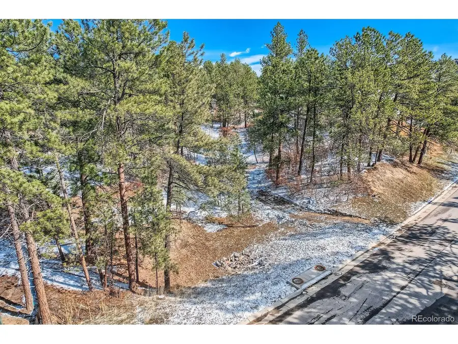 665 Copper Fox Pl, Larkspur, CO 80118 - #3