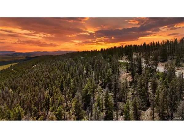 1396 Middle Fork Vis, Fairplay, CO 80440