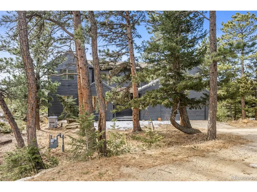 14 Sundown Trl, Nederland, CO 80466 - #3