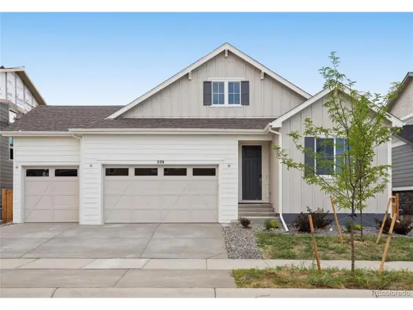 229 Wooten Ave, Brighton, CO 80601