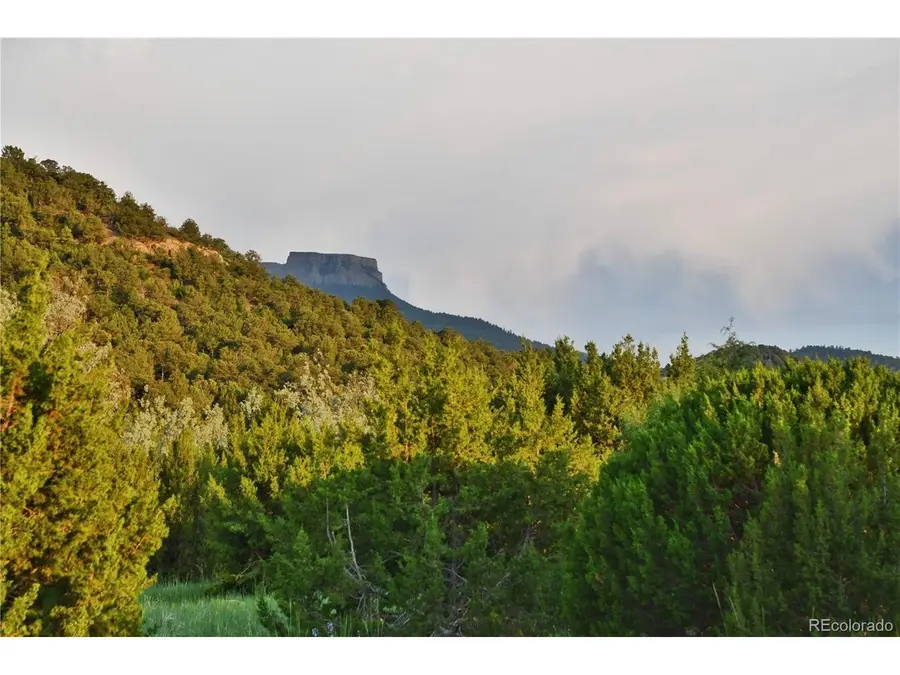 406 Riata Dr, Trinidad, CO 81082 - #3