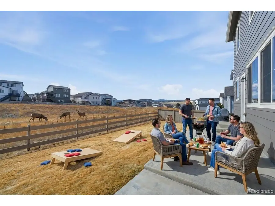 156 Dunsinane Ln, Castle Rock, CO 80104 - #2