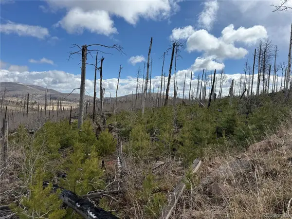 1960 Hilda Ln, Fort Garland, CO 81133