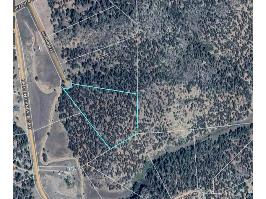 176 Bel Air Way, Cotopaxi, CO 81223 - #3