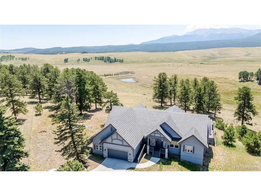 407 Silvermoon Hts, Divide, CO 80814 - #2