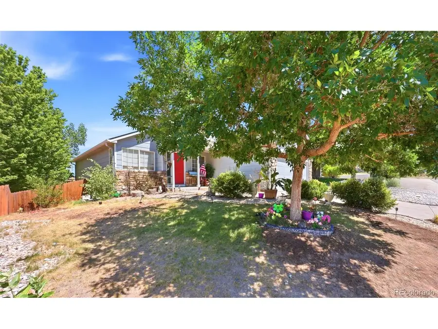 607 Branding Iron Ln, Castle Rock, CO 80104 - #3