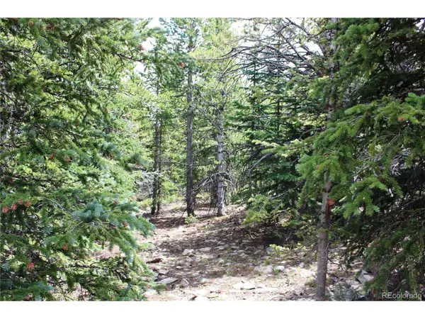 5285 Lucy Agnes, Black Hawk, CO 80422