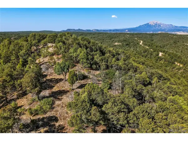 93 Blackhawk Ranch, Walsenburg, CO 81089