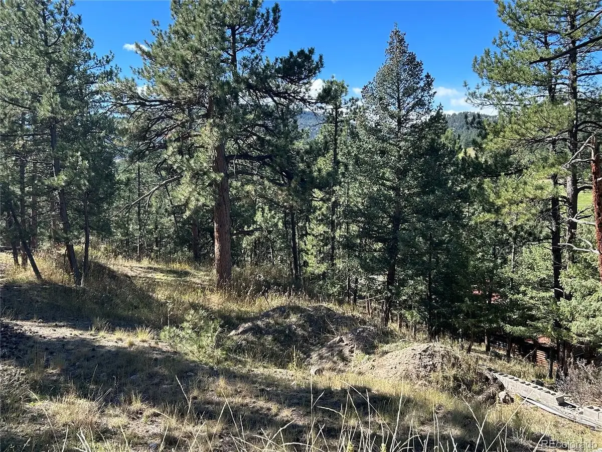 0 Pine Rd, Evergreen, CO 80439 - #1