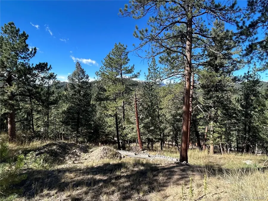 0 Pine Rd, Evergreen, CO 80439 - #2