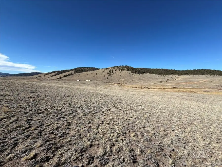 66 Wagon Wheel Rd, Hartsel, CO 80449 - #2
