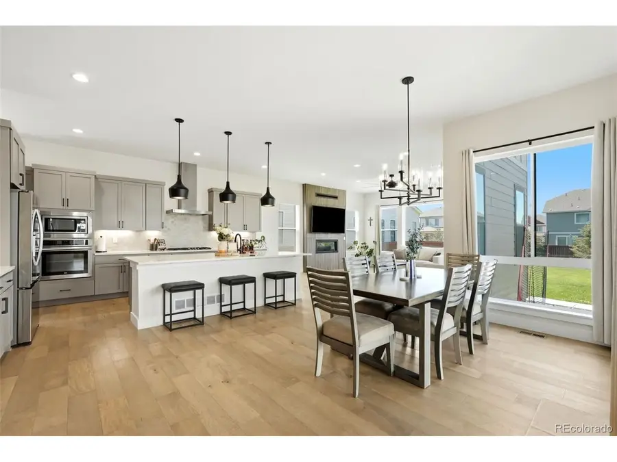 1702 Branching Canopy Dr, Windsor, CO 80550 - #2