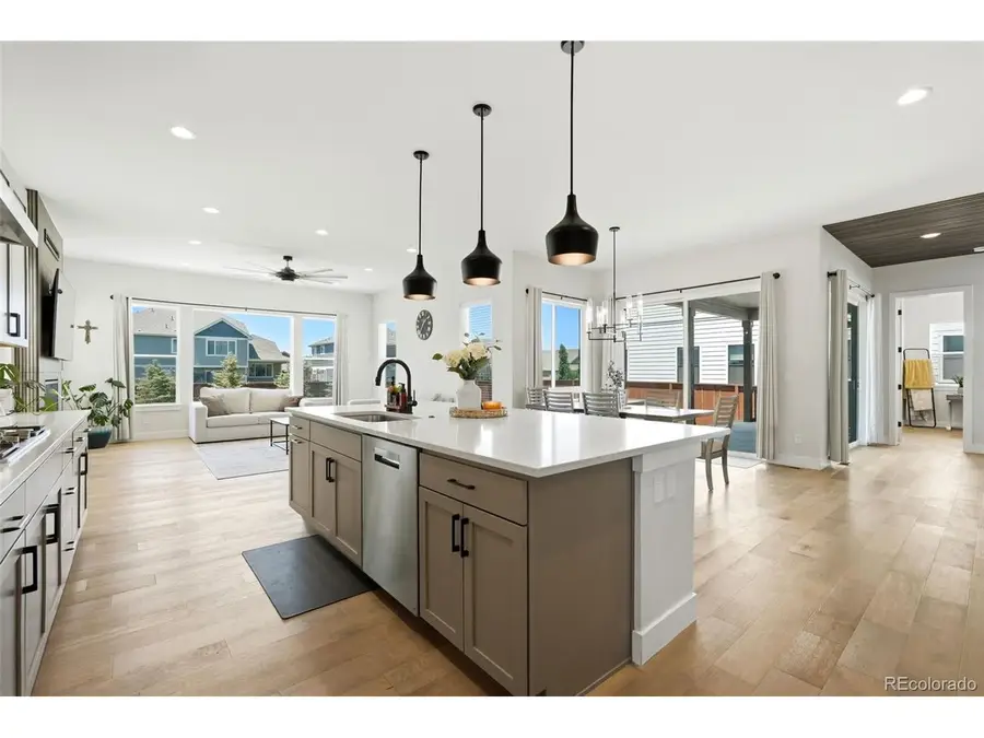 1702 Branching Canopy Dr, Windsor, CO 80550 - #3