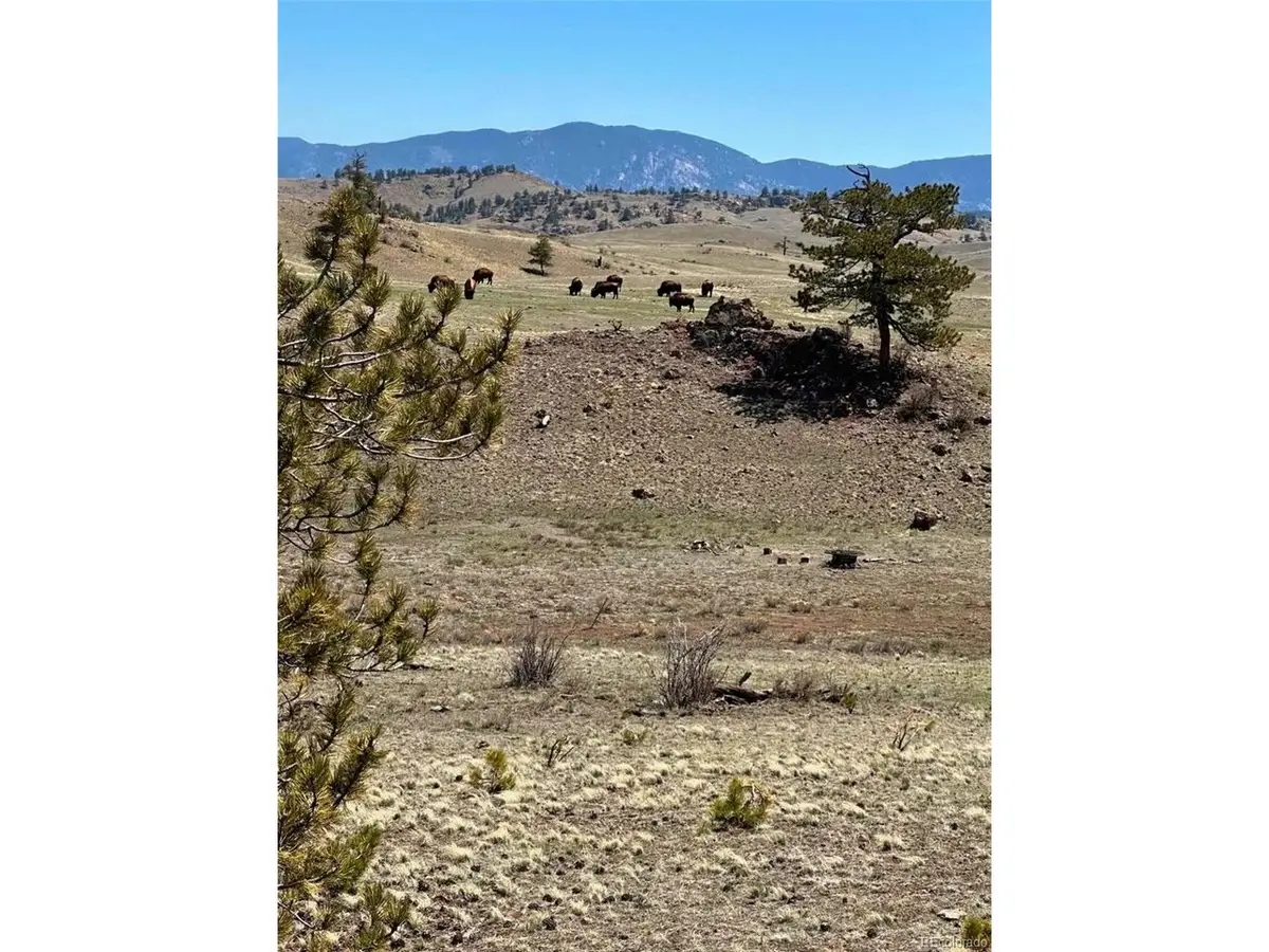 391 Gulch Rd, Hartsel, CO 80449 - #1