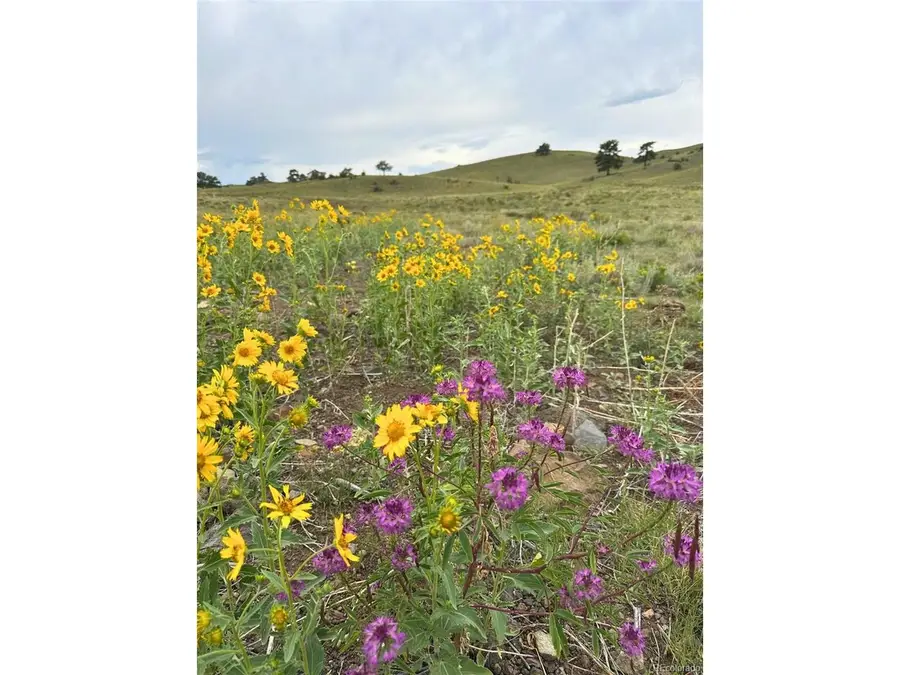 391 Gulch Rd, Hartsel, CO 80449 - #3