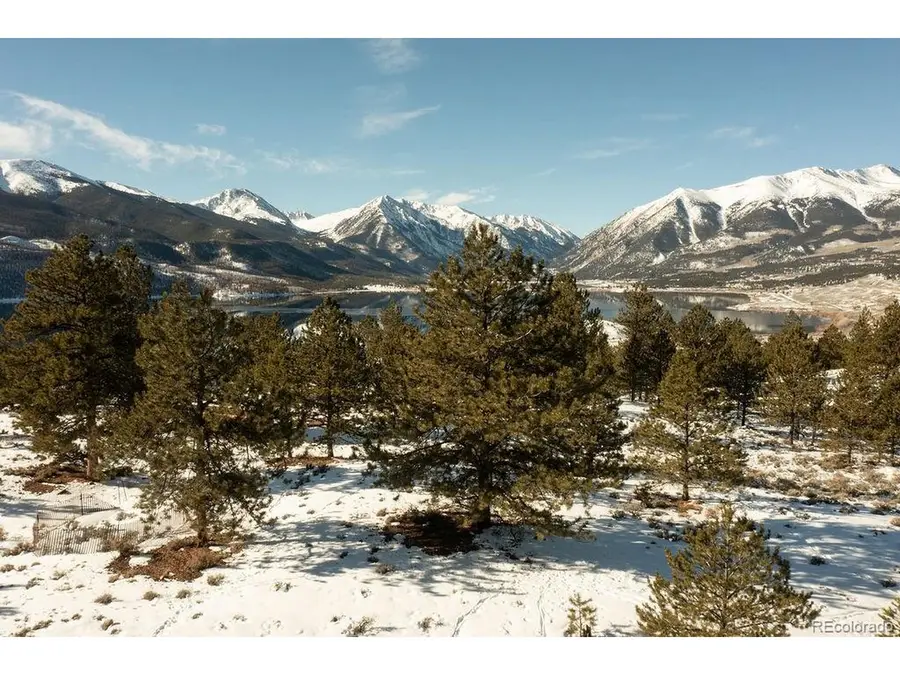 6 Ross Dr, Granite, CO 81228 - #3