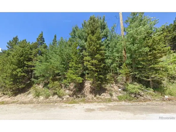 123 Nebraska Dr, Idaho Springs, CO 80452