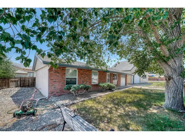 1625 Holman Ave, Salida, CO 81201