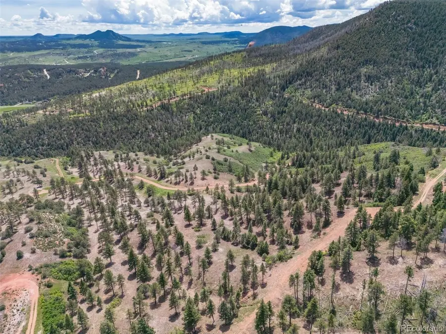 5881 Pawnee Rd, Larkspur, CO 80118 - #3