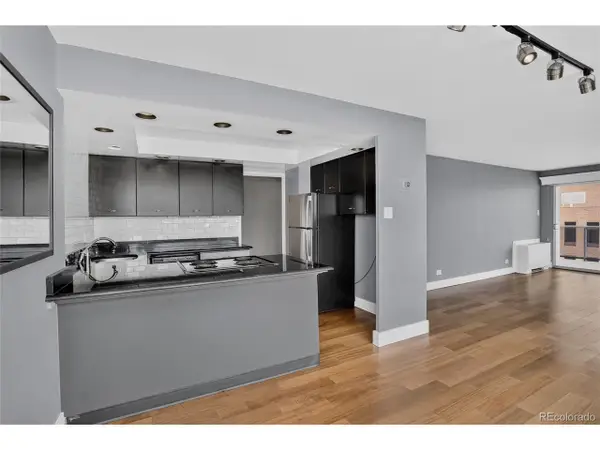 888 N Logan St #9H, Denver, CO 80203