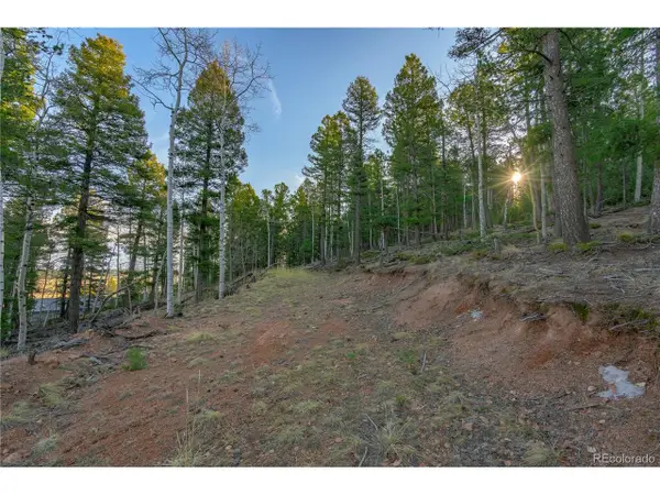 88 Malmsey Ln, Divide, CO 80814