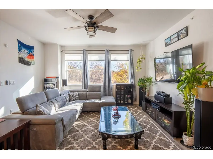 15619 Kitchener Way, Monument, CO 80132 - #3