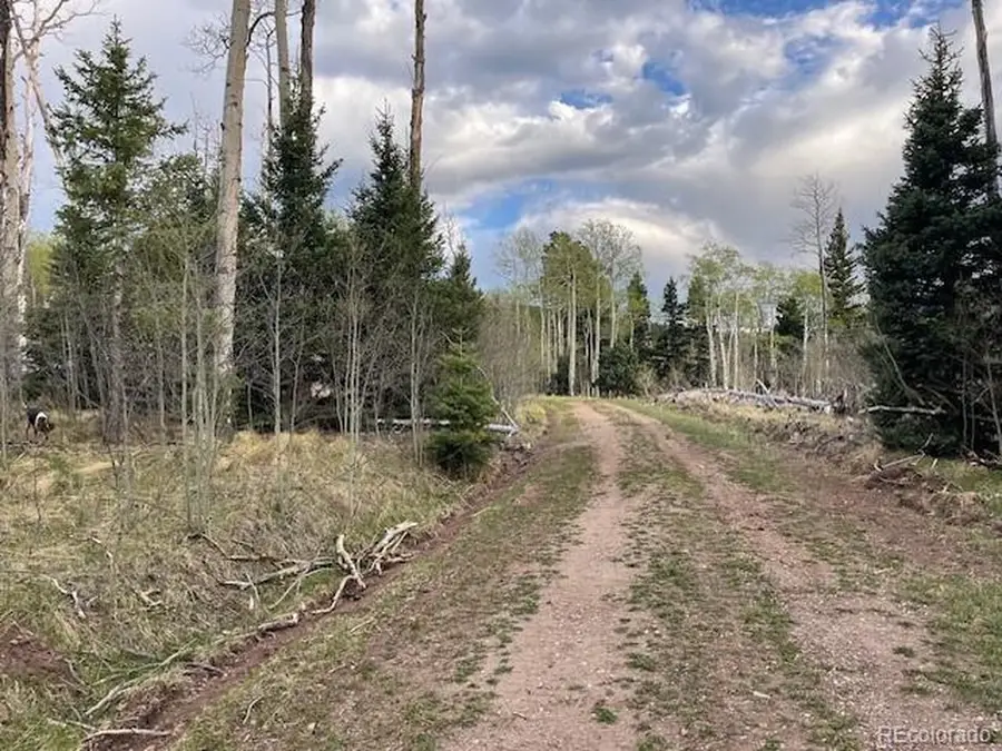 2610 Lux Ln, Fort Garland, CO 81133 - #3