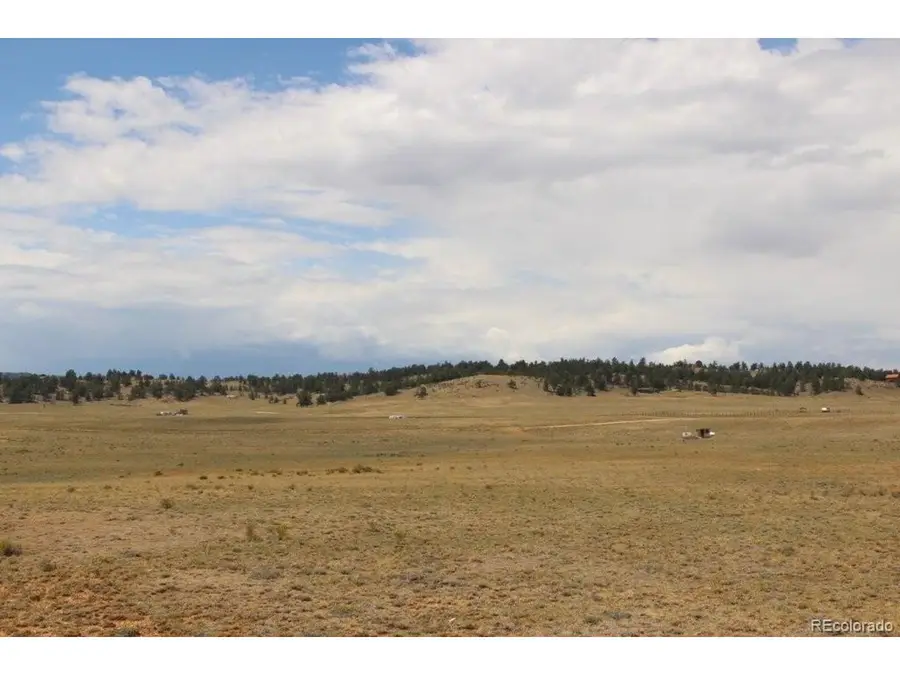 389 Chipita Trl, Hartsel, CO 80449 - #2