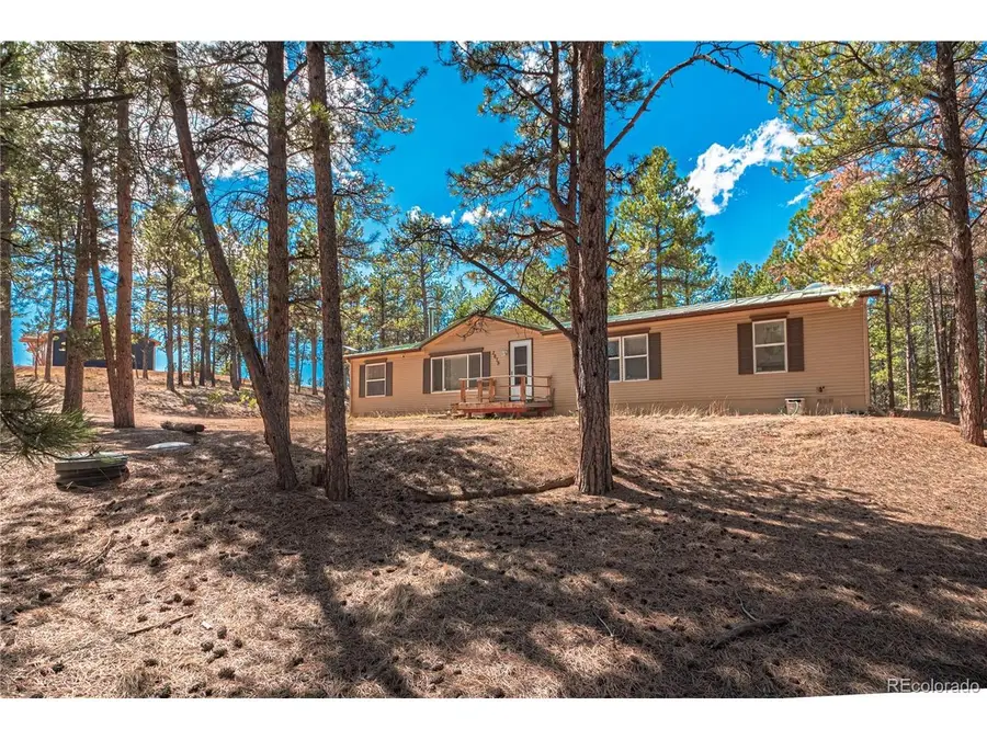 2675 Pikes Peak Dr, Florissant, CO 80816 - #3
