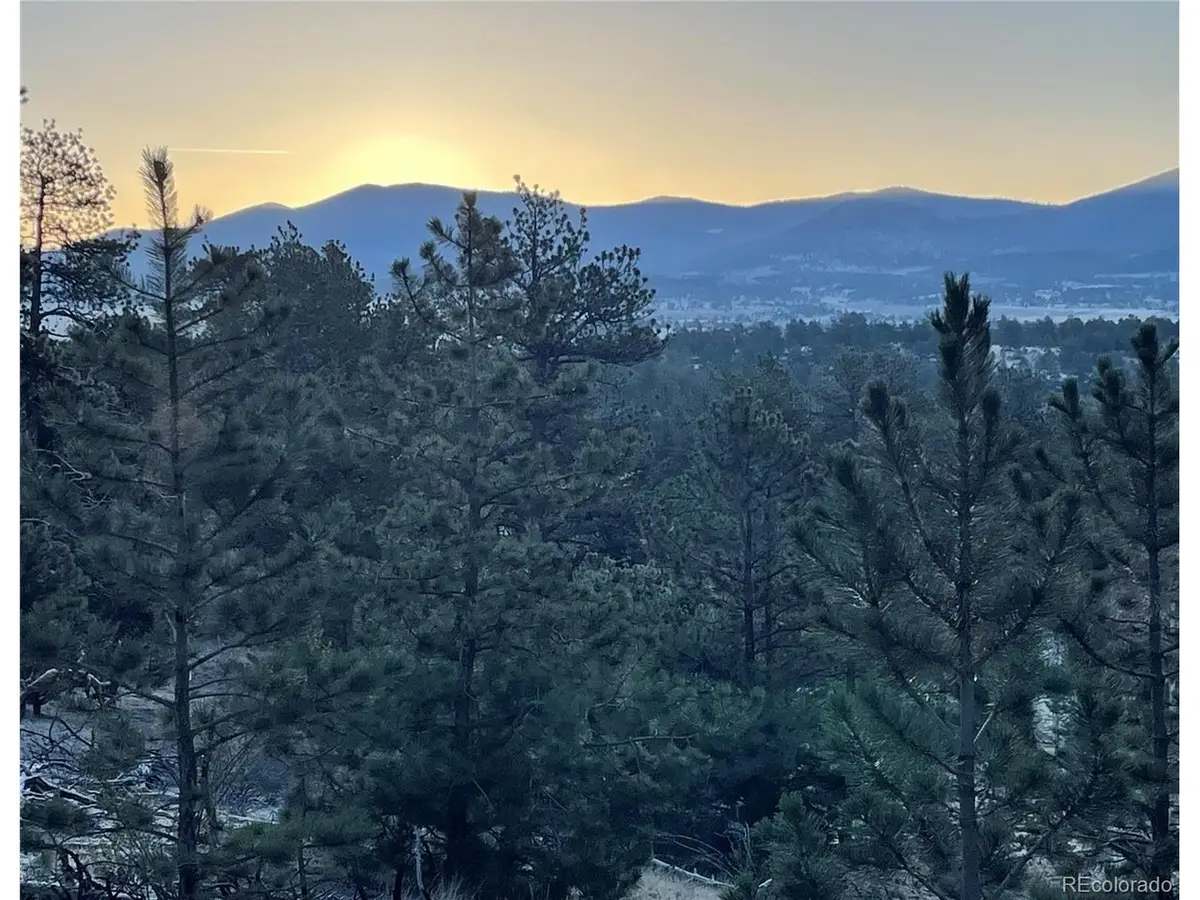 364 Muir Woods Trl, Hartsel, CO 80449 - #1