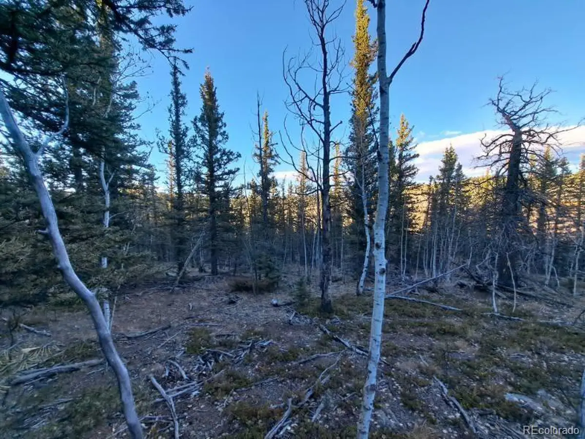 0 Haida Ln, Como, CO 80432 - #1