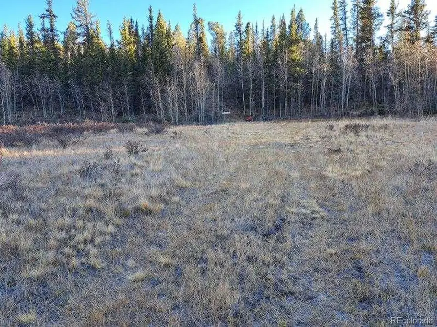 0 Haida Ln, Como, CO 80432 - #3