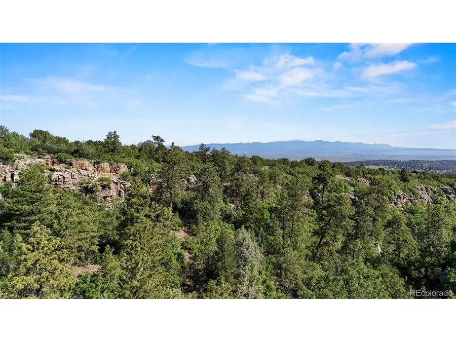 Old Homestead Ln, Beulah, CO 81023 - #3