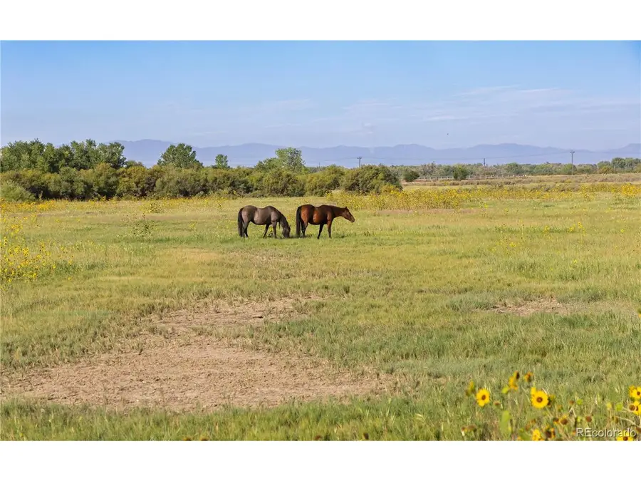 706 Avondale Blvd, Avondale, CO 81022 - #2