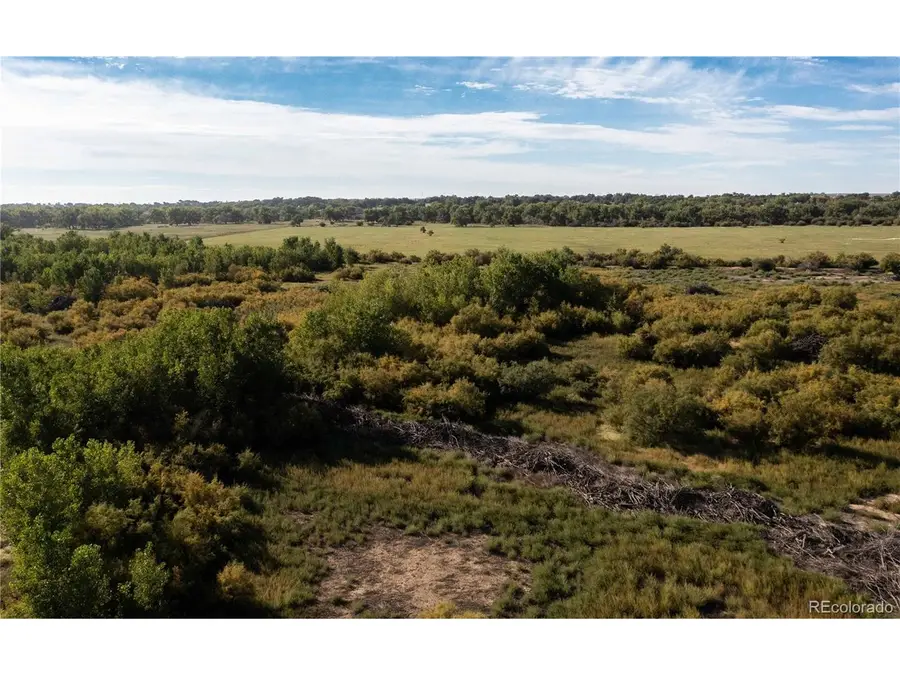 706 Avondale Blvd, Avondale, CO 81022 - #3