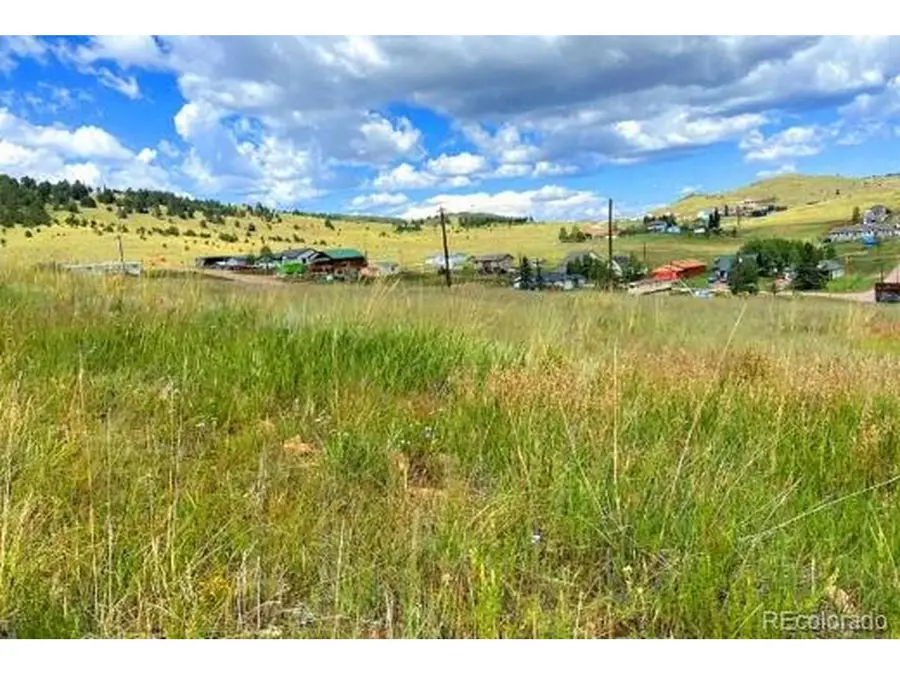 1111 Colorado Ave, Cripple Creek, CO 80813 - #3